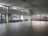 Malmin-raitti-9--315m2-23