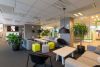 Sola_Interior_w_-25